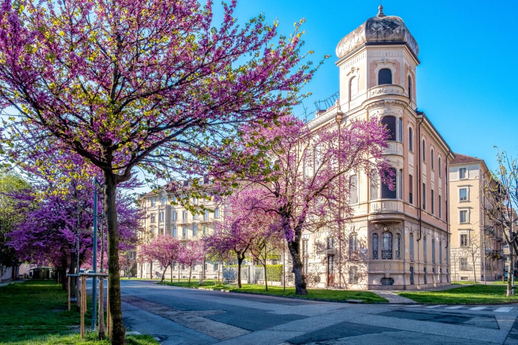 Zona Crocetta, Torino